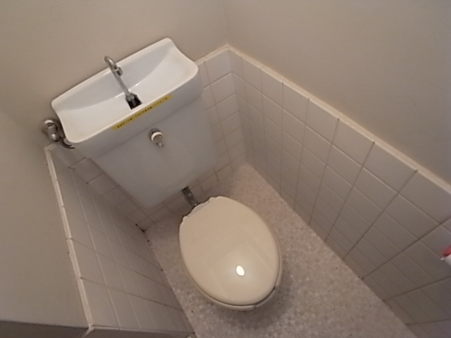 Toilet. Toilet