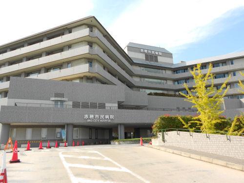 Ako City Hospital