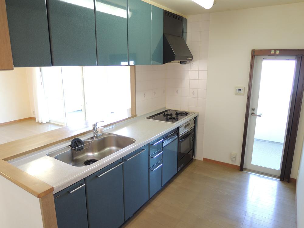 Kitchen. Counter system Kitchen There is tableware washing dryer Yes oven