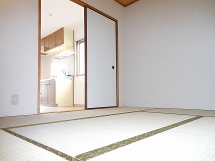 Living and room. Japanese style room