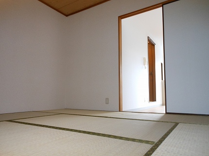 Living and room. Japanese style room