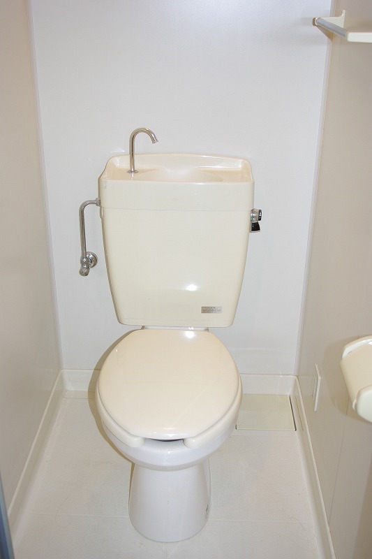 Toilet. Unusual separate toilet in the studio
