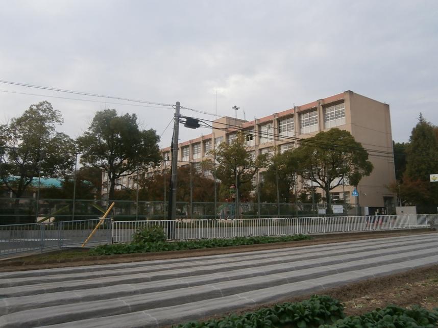 Primary school. Muko elementary school