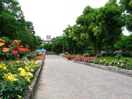 park. 320m until Oido park