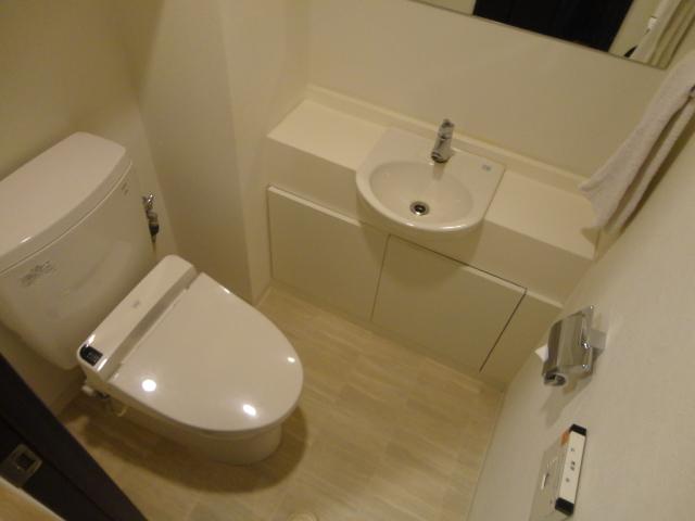 Toilet. Toilet with hand washing counter