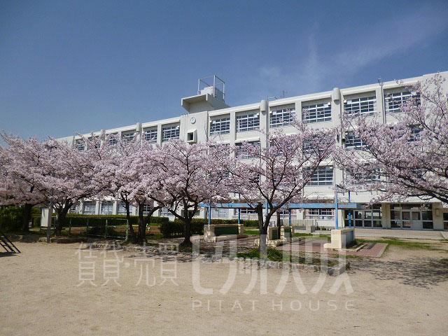 Primary school. 477m until the Amagasaki Municipal Seiwa Elementary School