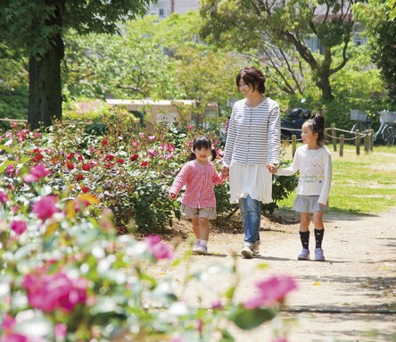  [Amagasaki agriculture park] Compete bloom seasonal flowers throughout the year, Park surrounded by greenery. Wrapped in the smell of roses leisurely stroll with Mom. Mind until likely dyed rosy (Free, Bicycle about 13 minutes ・ About 2.5km)