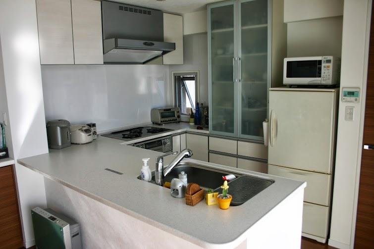 Kitchen. U-shaped kitchen