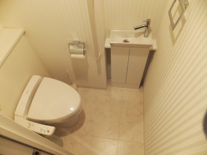 Toilet. Hand wash counter is attached.
