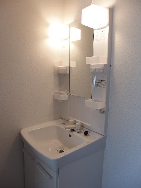 Washroom. Bathroom vanity