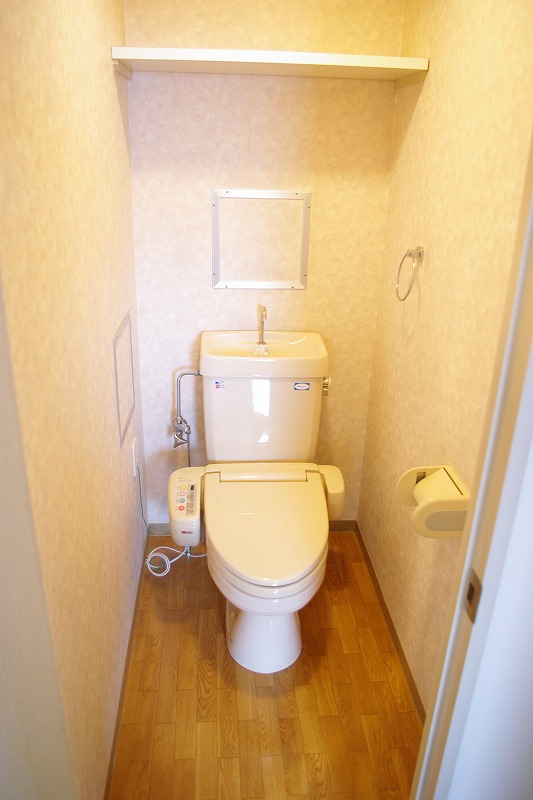 Toilet. Bidet with toilet