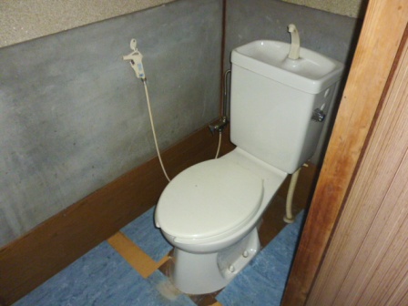 Toilet