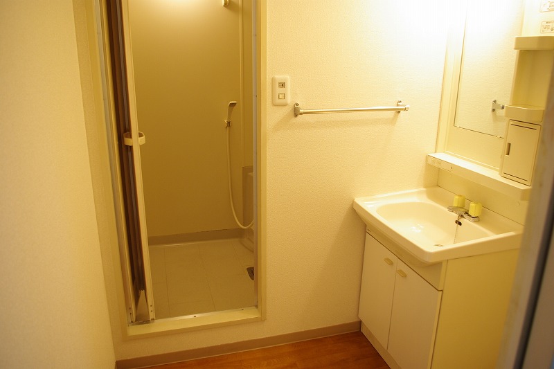 Washroom. Basin undressing space