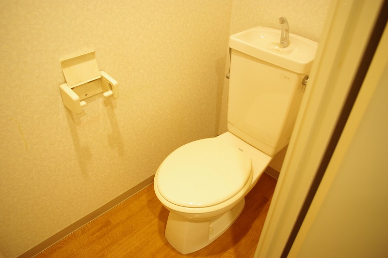 Toilet. Wide toilet