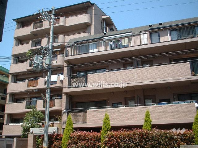 Local appearance photo. Mukonoso Urban Life of appearance (from the southeast side)