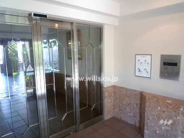 Entrance. Entrance is with auto-lock.
