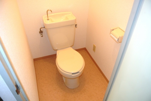 Toilet. Spacious spread of toilet.