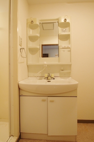 Washroom. Shampoo dresser