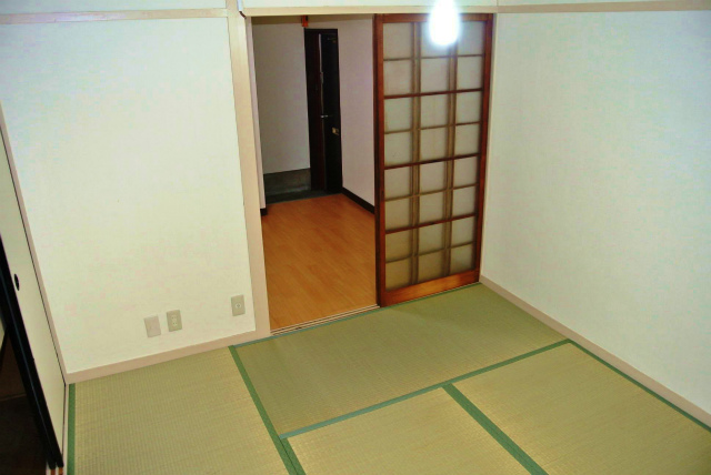 Living and room. Tatami nor wallpaper is beautiful