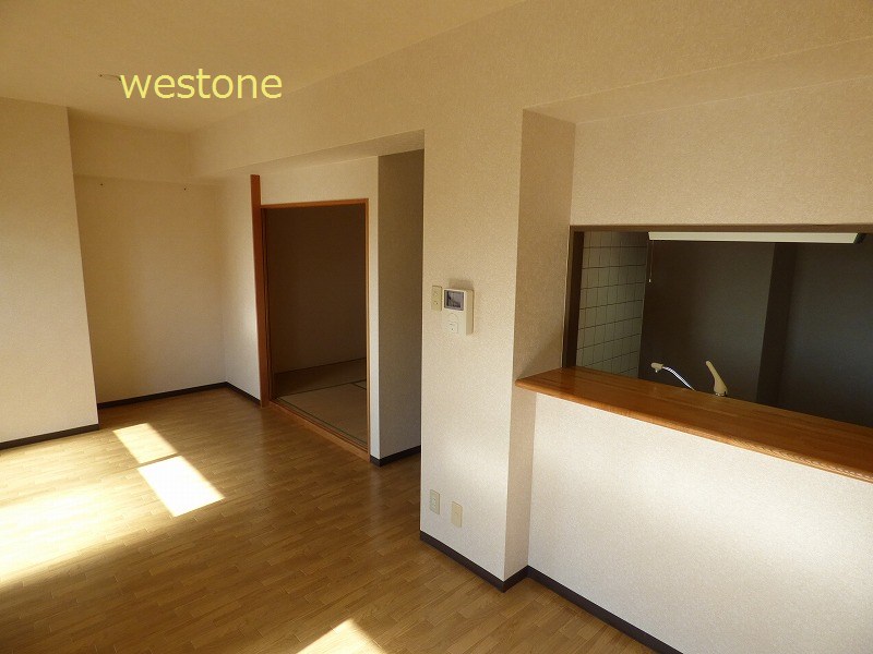 Living and room. South-facing is the entire surface of living. It is very bright.