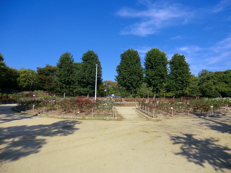 park. 399m until Oido park