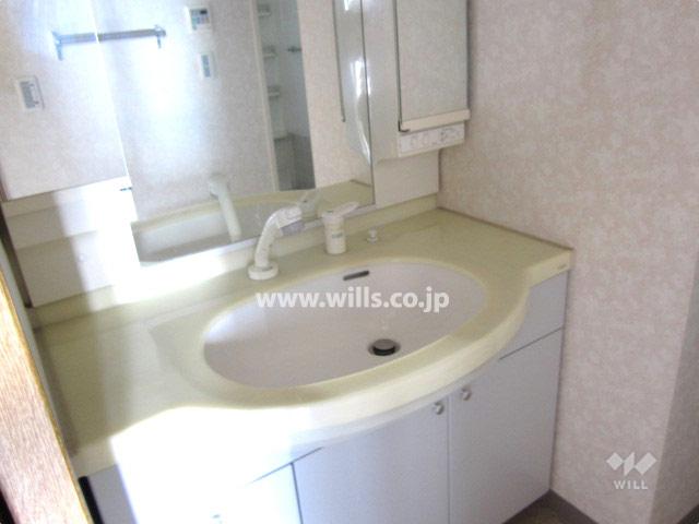 Wash basin, toilet. bathroom