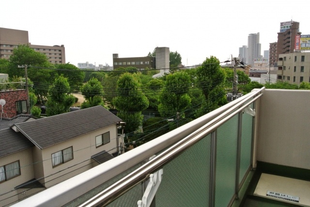 View. Green Masu well visible in the park