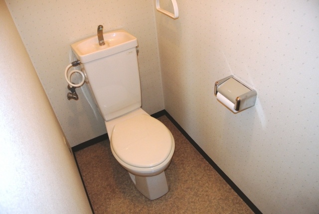 Toilet. It is a simple toilet. 