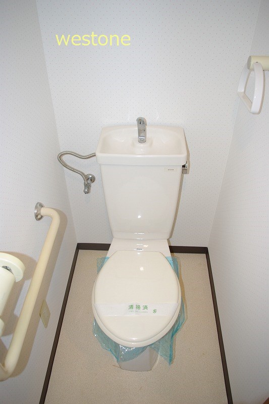 Toilet. Toilet with cleanliness.