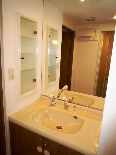 Washroom. Bathroom vanity