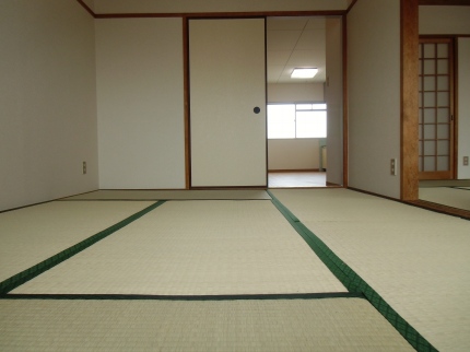 Living and room. Japanese-style room 2