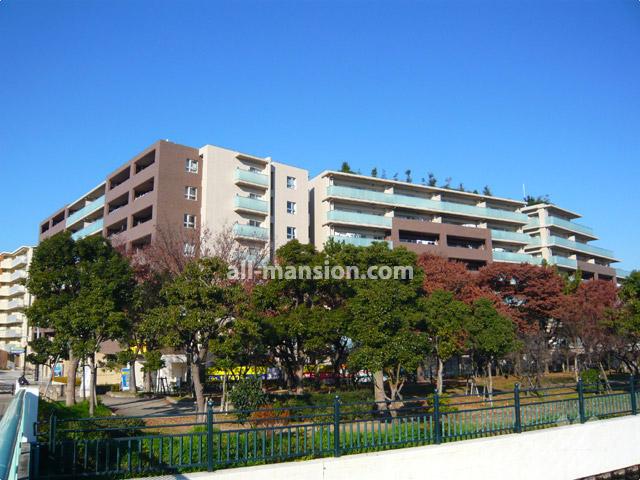 Local appearance photo. The ・ Gade Nesuku City Aqua Museum of appearance (from the southeast side) The east side of the site is green space Yomogawa.