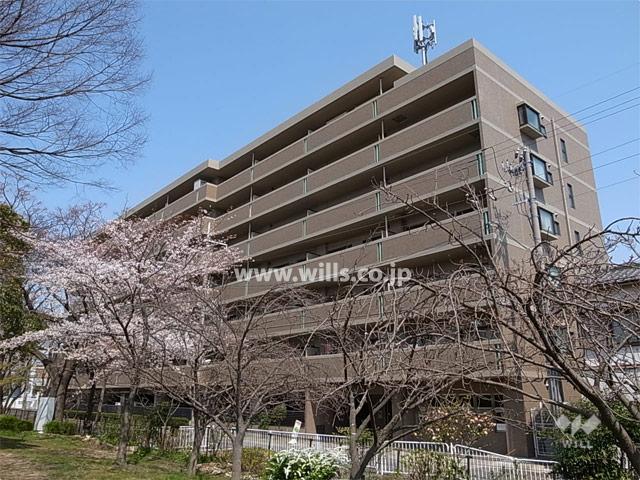 Local appearance photo. Central eighth Mukonoso of appearance (from the southwest)