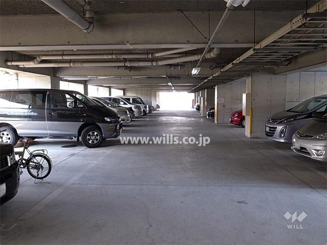 Parking lot. On-site parking (indoor plane type)