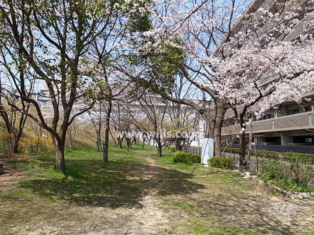 Other local. Site west side of the square. Sakura can be enjoyed in the spring.