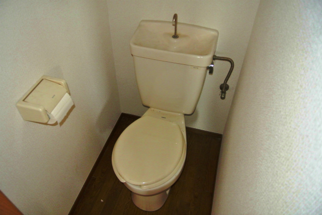 Toilet. It settles down space.