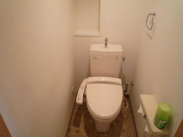 Toilet. Room (August 2013) Shooting