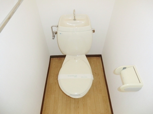 Toilet. Spacious toilet!