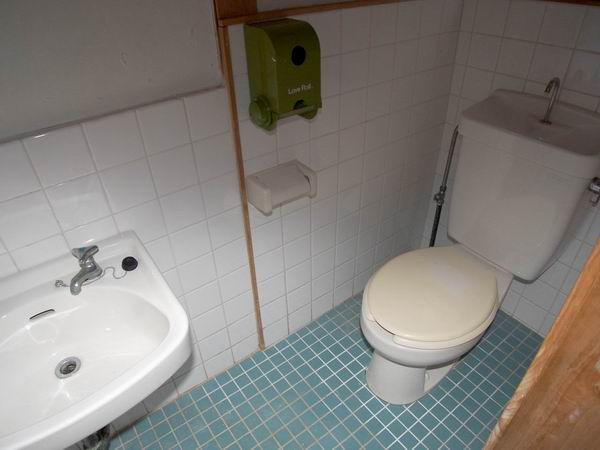 Toilet. Also it comes with a convenient wash basin