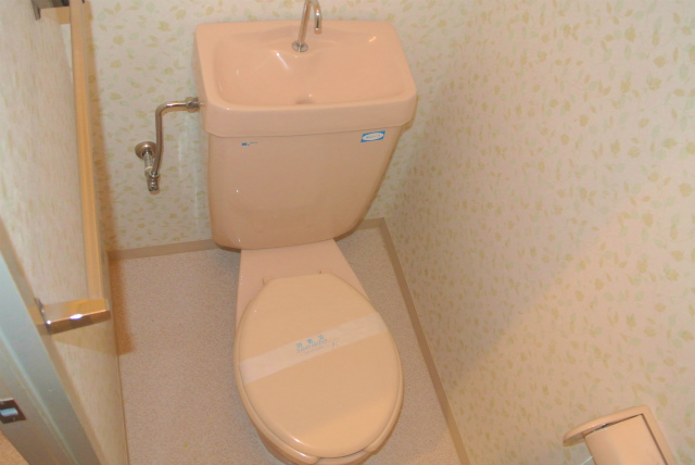 Toilet. Simple and clean Rakuchin