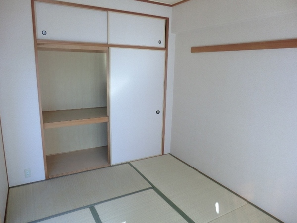 Other. The Japanese is excellent storage capacity with a skylight!