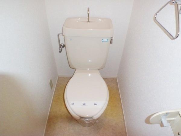 Toilet. Easy-to-use toilet!