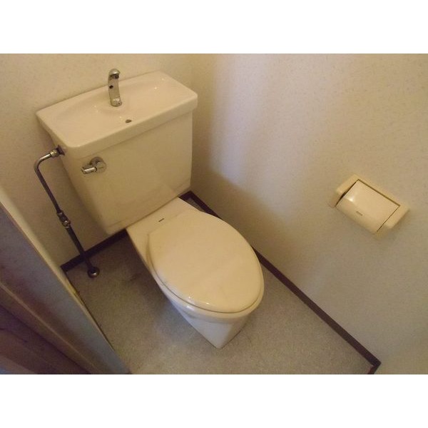 Toilet. Toilet