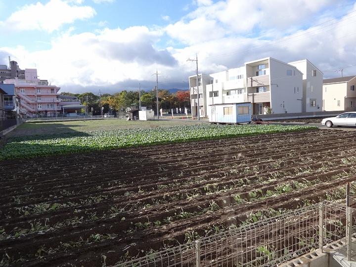 View photos from the dwelling unit. The other side of the garden is spread field. Of course, the living is bright, I mind is calm