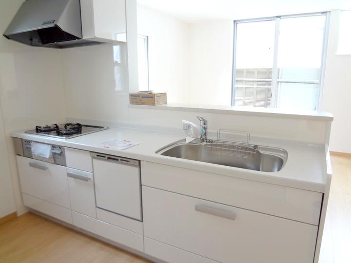 Kitchen. Dishwasher, SI sensor stove, Water purifier with a shower nozzle is happy system Kitchen