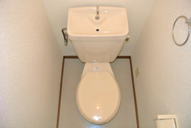 Toilet. It is simple and cleaning a breeze