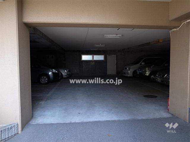 Parking lot. On-site parking (indoor plane type)