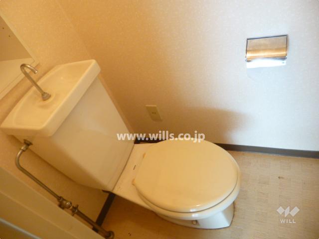 Toilet