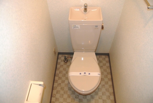 Toilet. It is the toilet of fashionable pattern