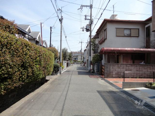 Local photos, including front road. Property of the north front of the road (from the west)